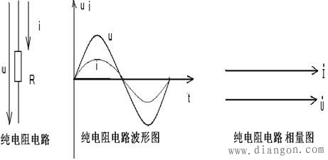 即 电阻的两端电压 u与通过它的电流 i同相,其波形图和相量图如图上图