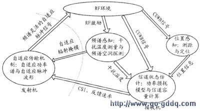 认知结构