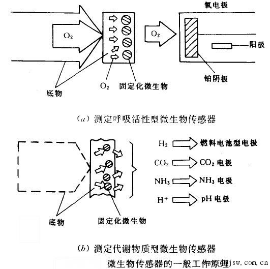 生物選擇器的原理及應用